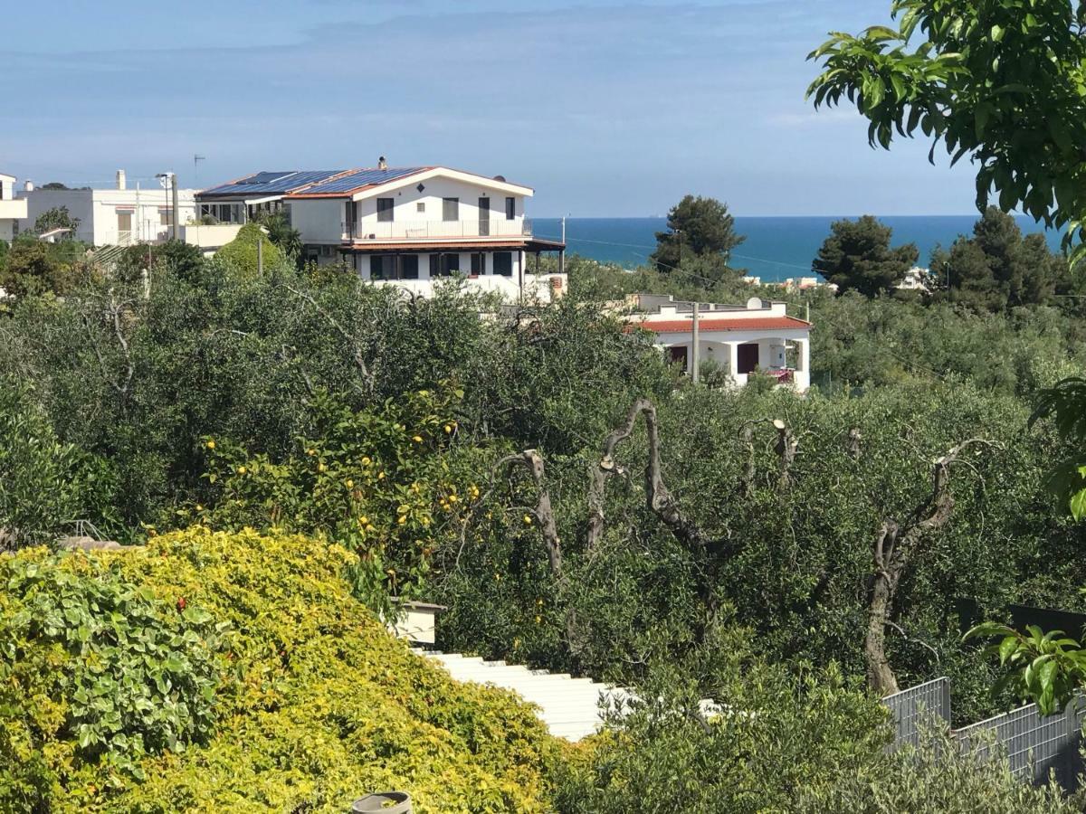 Appartamenti Santa Margherita Vieste Bagian luar foto